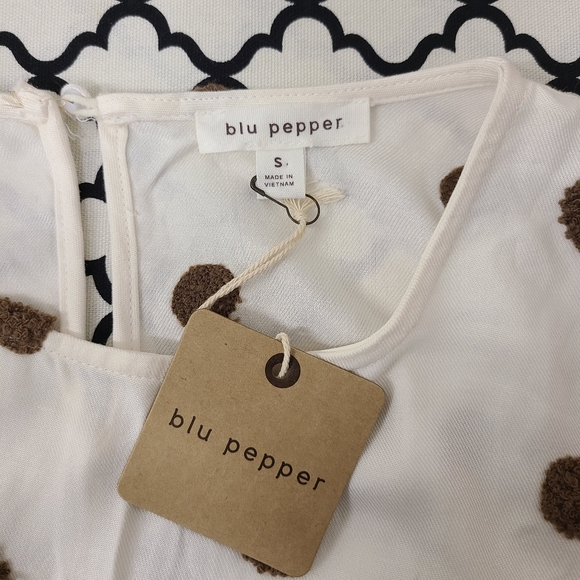 Blu Pepper Drop Waist Antique White Brown Fuzzy Polka Dot Dress Size Small - Picture 7 of 8